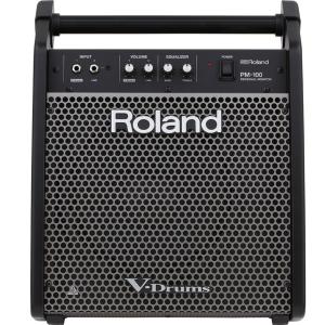 ROLAND PM-100 - Personal Monitor