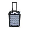 POWER ACOUSTICS - FUNMOVE 200 - Sono portable 200W sur batterie avec trolley