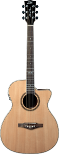 EKO GEA NXT-A100CWE-NAT - Auditorium - Auditorium cutaway électro Natural
