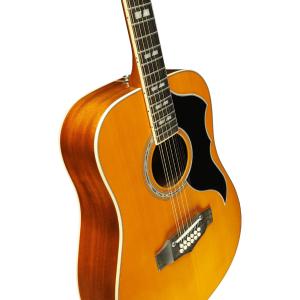EKO GEA RANGERVR12-EQ-NAT - Ranger VR XII - Dreadnought 12 cordes électro