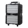 POWER ACOUSTICS - FUNMOVE 250 - Sono portable 250W sur batterie + 2 micros main