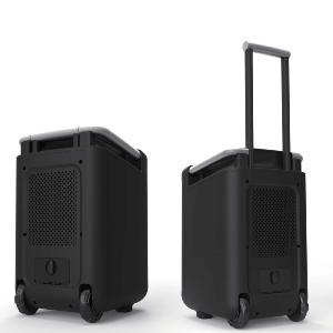 DEFINITIVE AUDIO EASYTRAVELLER - sono portable bluetooth ip67 - STOCK B