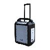 POWER ACOUSTICS - FUNMOVE 200 - Sono portable 200W sur batterie avec trolley