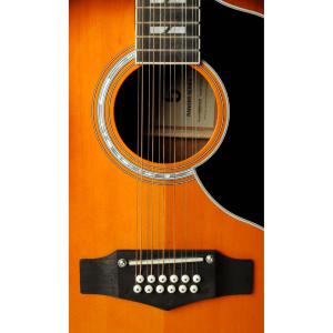 EKO GEA RANGERVR12-EQ-HB - Ranger VR XII - Dreadnought 12 cordes électro Honey B