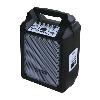 POWER ACOUSTICS - FUNMOVE 100 - Sono portable 100W sur batterie