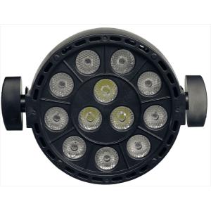 ALGAM LIGHTING LAL PARWASH12 - WASH - Projecteur à LED 12 x 1 W