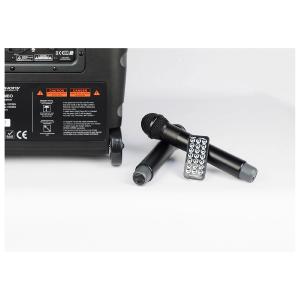Audiophony CR25A-COMBO-F5 - Sono portable sur batterie 250 W